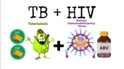 Anggaran Minim, Komisi IV DPRD Soroti Lemahnya Penanggulangan TB dan HIV di Samarinda