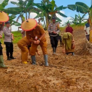 Dukung Swasembada Pangan 2026, Polsek Samarinda Kota Laksanakan Penanaman Jagung Kuartal I
